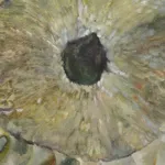 Lexia Hachtmann, Caress, 2025