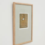 Lexia Hachtmann, Caress, 2025