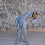 Hannah Rose Stewart, Jersey Foal, 2024