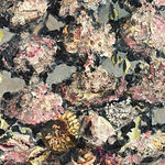 Ivan Seal, Auxch Noise Reduced, 2016