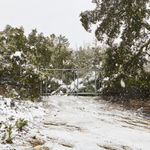 Monica Bonvicini, Stonewall, 2006