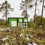 Claudia Comte, Whoever Has Learned How to Listen to Trees, 2025