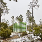 Claudia Comte, Whoever Has Learned How to Listen to Trees, 2025