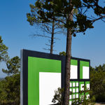 Claudia Comte, Whoever Has Learned How to Listen to Trees, 2025