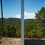 Claudia Comte, Whoever Has Learned How to Listen to Trees, 2025