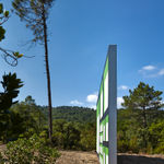 Claudia Comte, Whoever Has Learned How to Listen to Trees, 2025