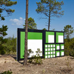 Claudia Comte, Whoever Has Learned How to Listen to Trees, 2025