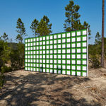 Claudia Comte, Whoever Has Learned How to Listen to Trees, 2025