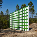 Claudia Comte, Whoever Has Learned How to Listen to Trees, 2025