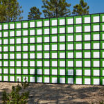 Claudia Comte, Whoever Has Learned How to Listen to Trees, 2025