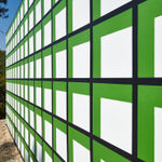 Claudia Comte, Whoever Has Learned How to Listen to Trees, 2025