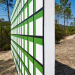 Claudia Comte, Whoever Has Learned How to Listen to Trees, 2025