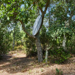 José León Cerrillo, Subtraction Screen (DdM), 2017