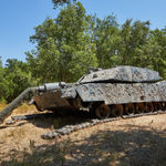 Xu Zhen, 12'91'', 2005