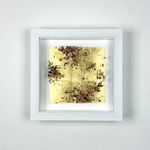 Anna Masters, Disappearing Suns 4