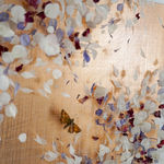 Anna Masters, Disappearing Suns 4