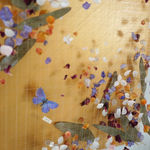 Anna Masters, Disappearing Suns 4