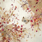 Anna Masters, Disappearing Suns 4