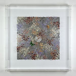 Anna Masters, Disappearing Suns 4