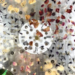 Anna Masters, Disappearing Suns 4