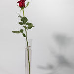 Joseph Beuys, 1 Economic Value: Axe, 1980 ca.