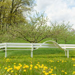 Jeppe Hein, ALL AROUND YOU I, 2017