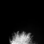 Naoyuki Tsuji, Children of Shadows, 2006