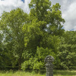 Julian Schnabel, Mary Magdalene, 2009