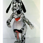 Thumbnail of additional image