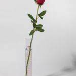 Joseph Beuys, 1 Economic Value: Axe, 1980 ca.