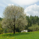 Jeppe Hein, ALL AROUND YOU I, 2017