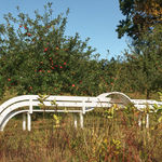 Jeppe Hein, ALL AROUND YOU I, 2017