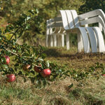 Jeppe Hein, ALL AROUND YOU I, 2017