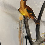 Thumbnail of additional image