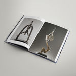 The Story of Expansion, 2019