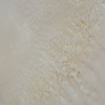 Norah Levine, The Trail, 2025