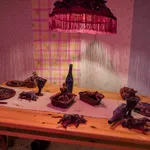 Thumbnail of additional image