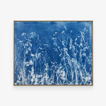 Andrea Zvadova , IN THE FIELDS VII