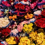 Luis Mora, Untitled 3 (Paloquemao, Bogotá, Colombia), 2018