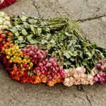 Luis Mora, Untitled 3 (Paloquemao, Bogotá, Colombia), 2018