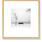 Calm, Kaikoura Coast, 2018