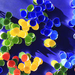 Larisa Safaryan, The Source of Life, 2022