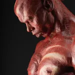 Richard MacDonald, The Guardian, Half Life Red, 2015