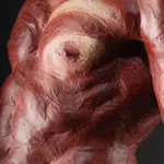 Richard MacDonald, The Guardian, Half Life Red, 2015