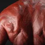 Richard MacDonald, The Guardian, Half Life Red, 2015