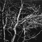 Summer Secret Bid Auction 2024, LOT 44: Salvador Dalí - The Source (Purgatory: Canto 21), 1960-64