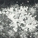 Fiona Fouhy, Leave Behind III, 2020