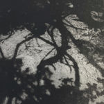 Christmas Auction 2021, LOT 177: Eleanor May Watson - Small Sweetness 2, 2021