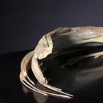 JONTY HURWITZ, Y-WOMAN