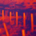 Diego Herman, Okay, 2026